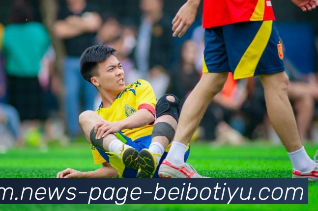 贝博体育平台生态图