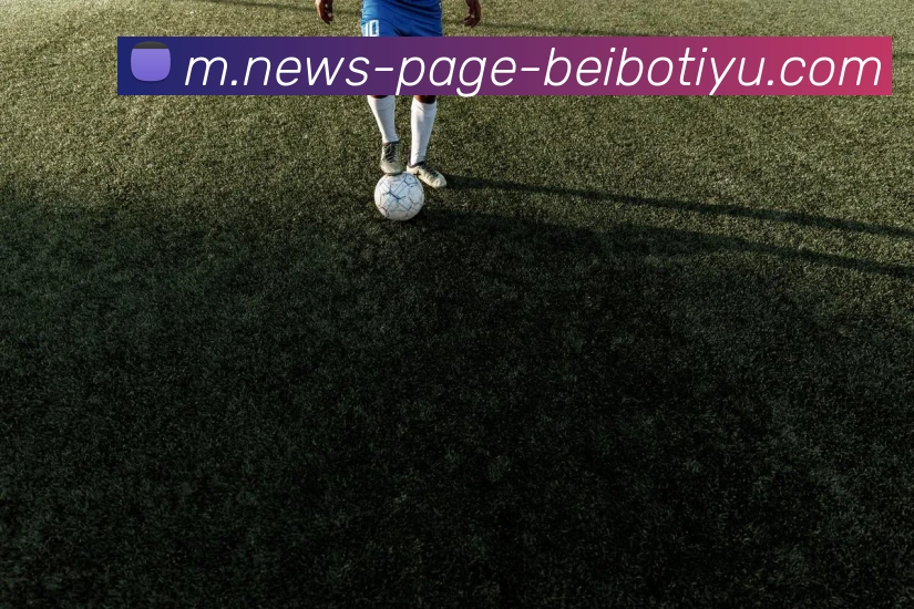 贝博体育APP 封面图